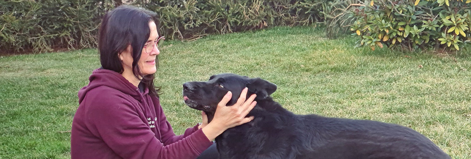 Praxis für Tiergesundheit Freiberg